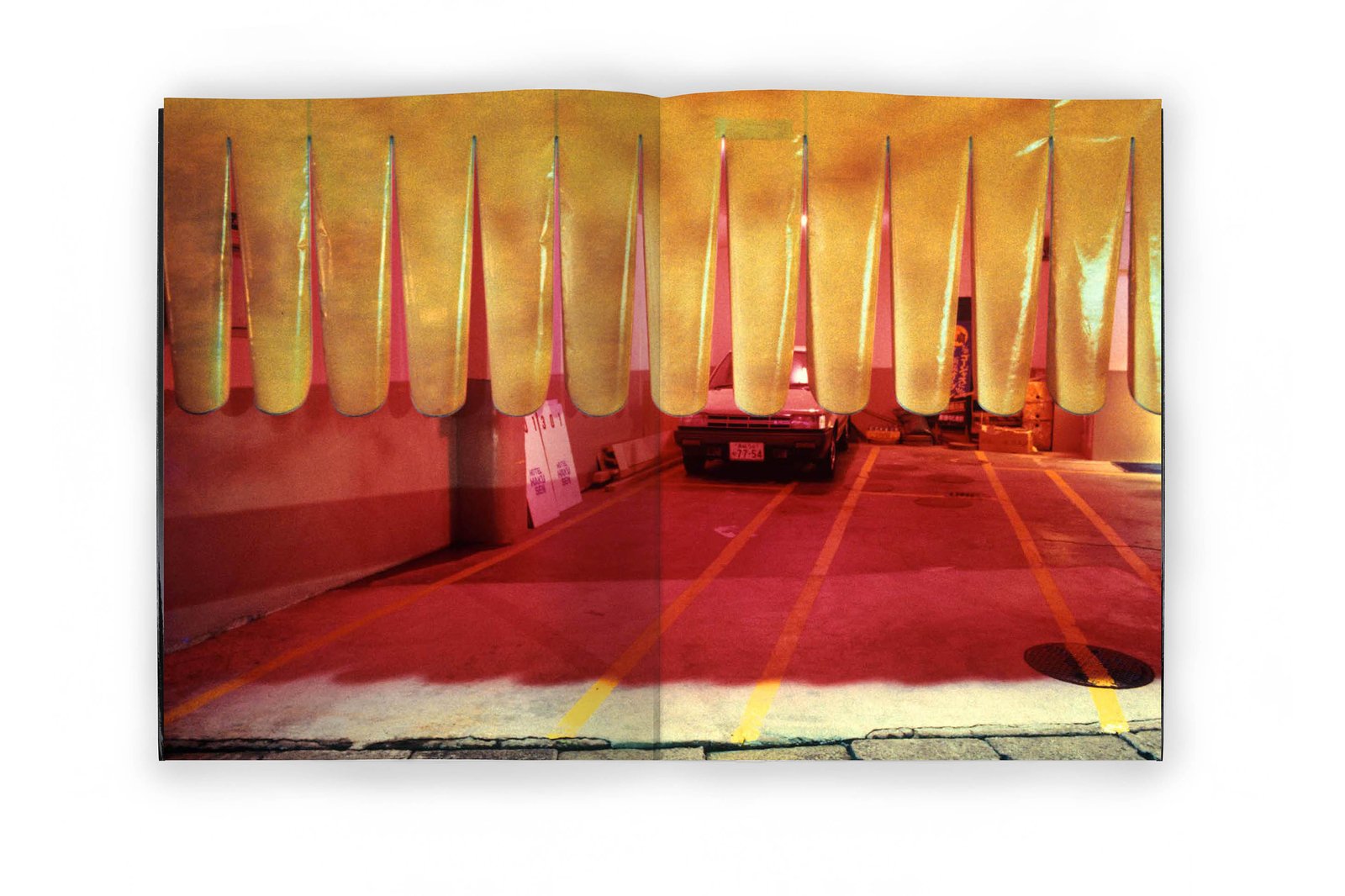 JAL 76-88. Back in print! Signed on request! | Greg Girard | Books